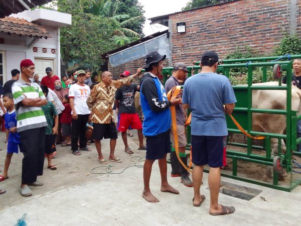 Tinggal 3 Kuota Shohibul Qurban Masjid An-Nuur