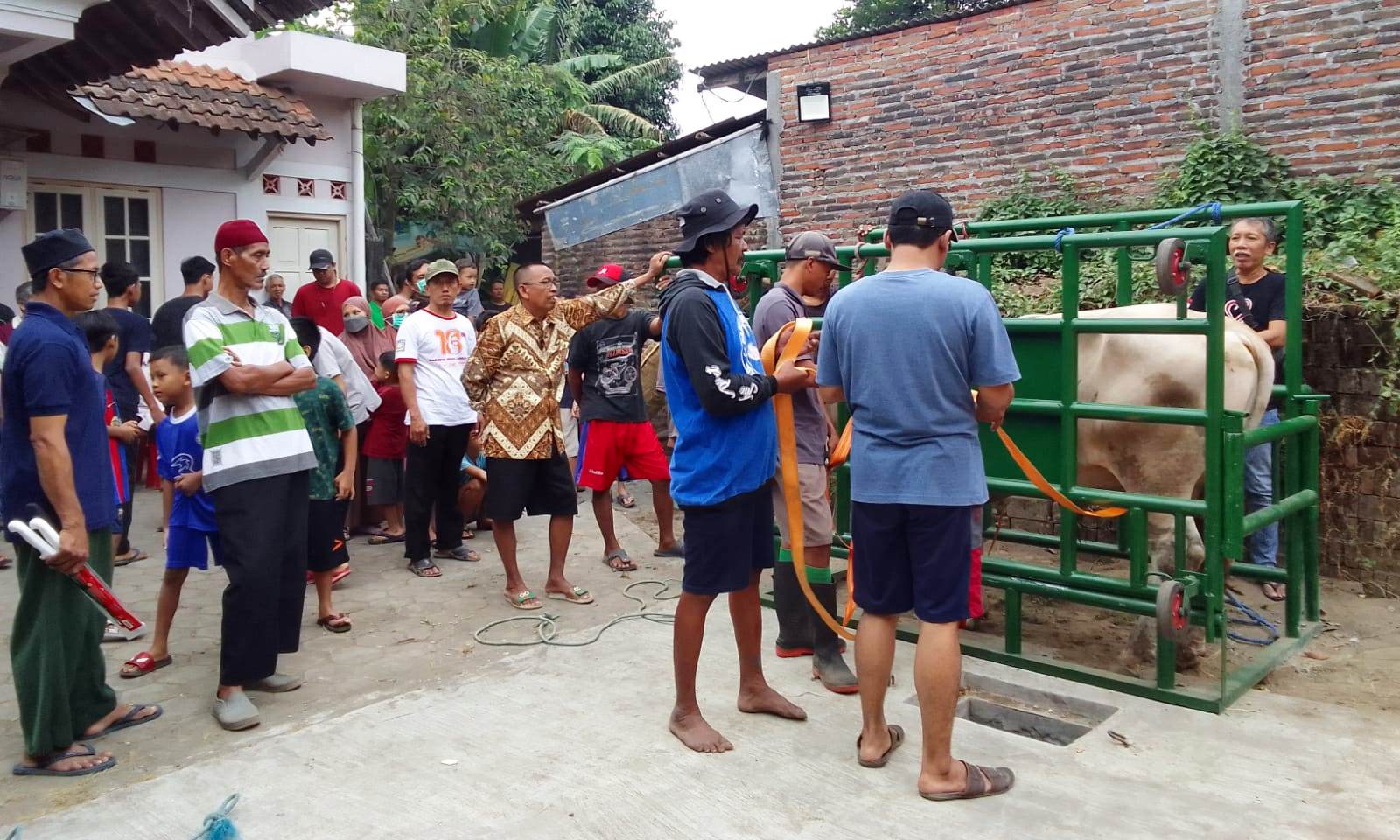 Tinggal 3 Kuota Shohibul Qurban Masjid An-Nuur Tinggal 3 Kuota Shohibul Qurban Masjid An-Nuur